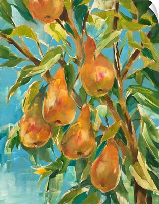 In A Pear Tree