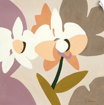 Paper Orchid