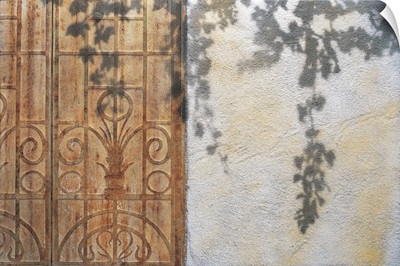 Rusty Door and Grapevine