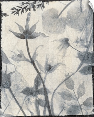 Silk Botanicals III