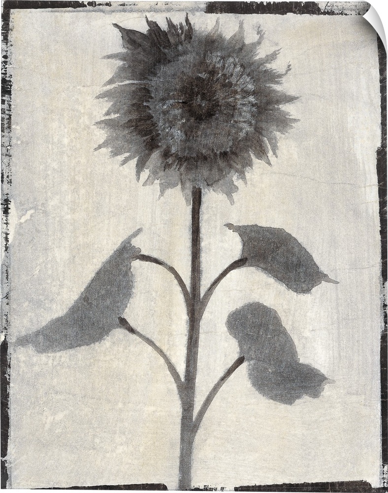 Vertical contemporary painting of flowers in faded shades of grey with a rough, simple black border.