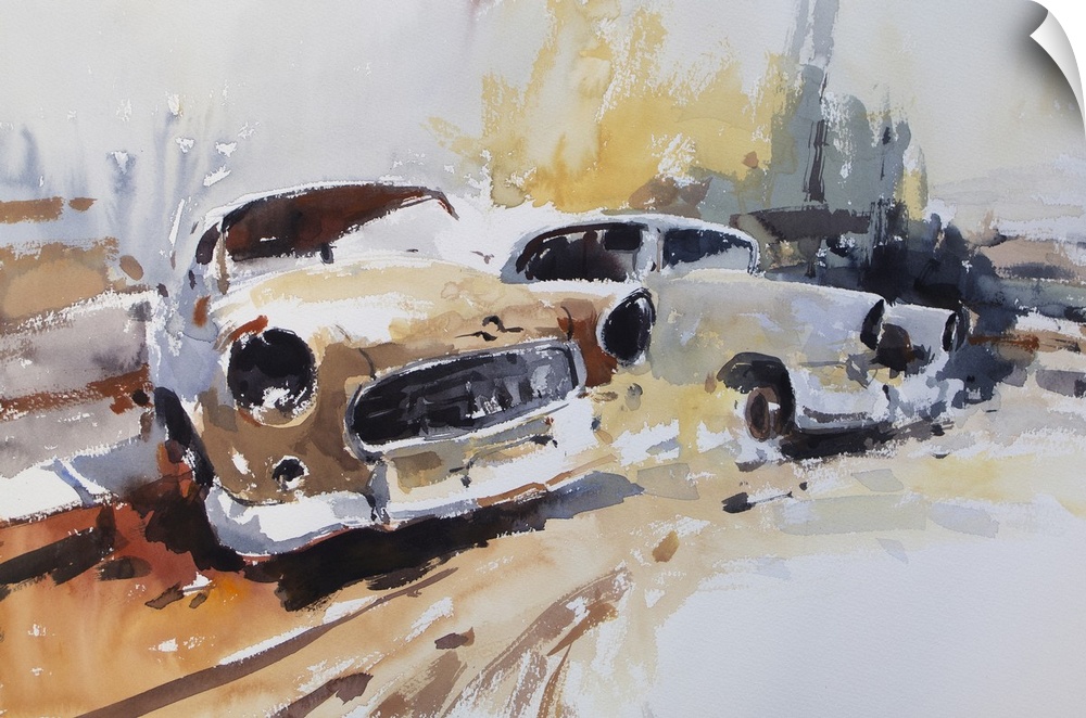 Gestural brush strokes of muted watercolors illustrate old abandoned wrecks of Australian built Holden cars.