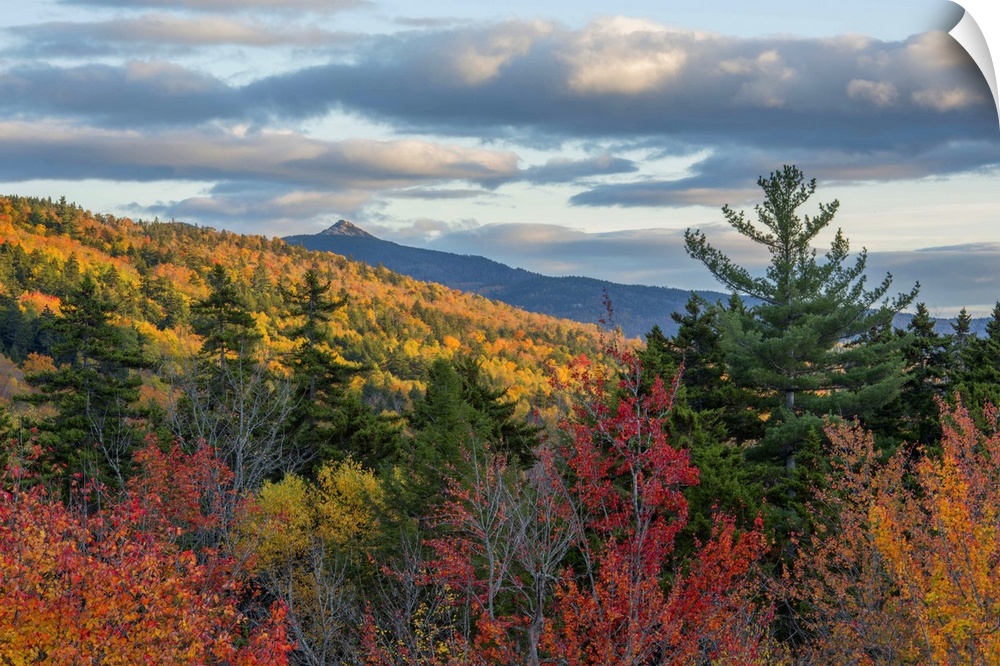 Brightly colored forests in autumn in New Hampshire's Kancamagus Pass.
