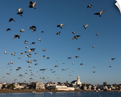 Cape Cod Fly-By