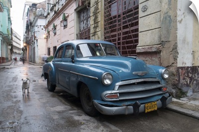 Cuba Car And Dog