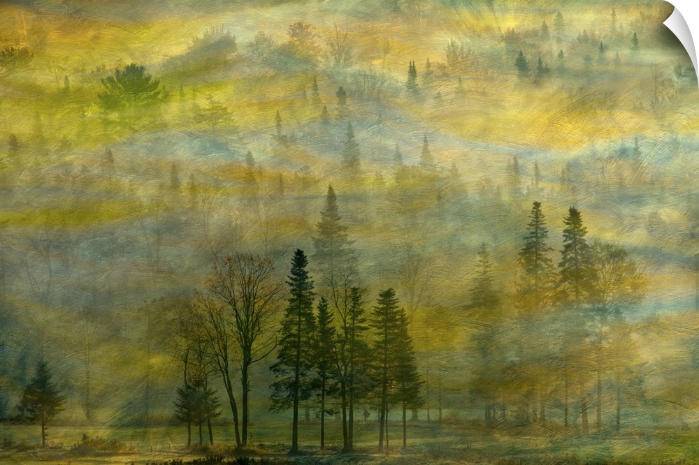 Composite photo of a misty forest in New Hampshire with shades of green and yellow.