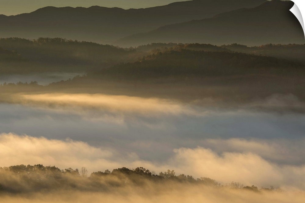 Dense fog over the hills of the Blue Ridge Mountains on the Tennessee side in the morning.