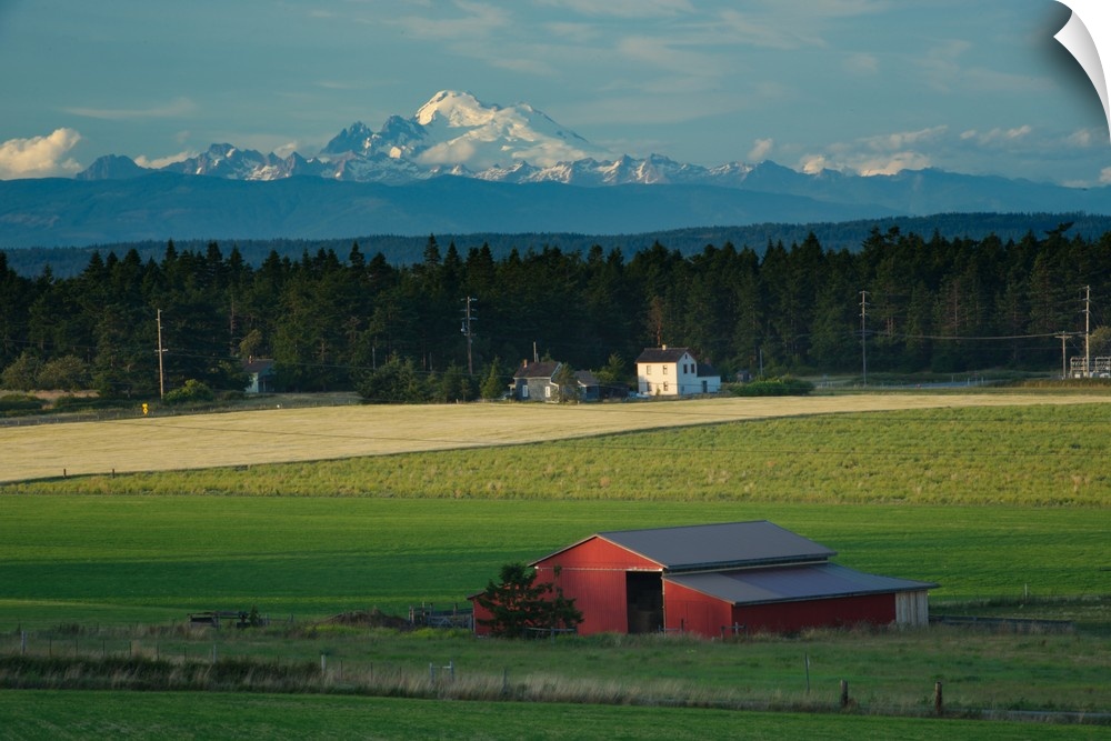 A red barn in the late afternoon on Whidbey Island, Washington, with snowy mountains in the distance.