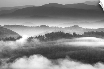 Morning Mist, Foothills Parkway