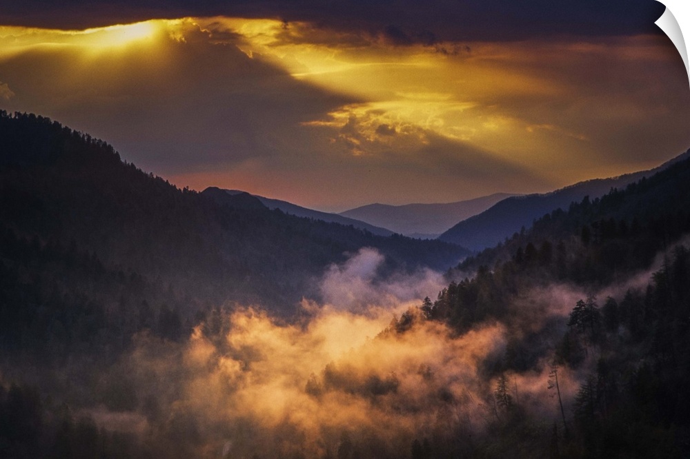 Mist in a valley in the Smoky Mountains of Tennessee, with golden sunlight.