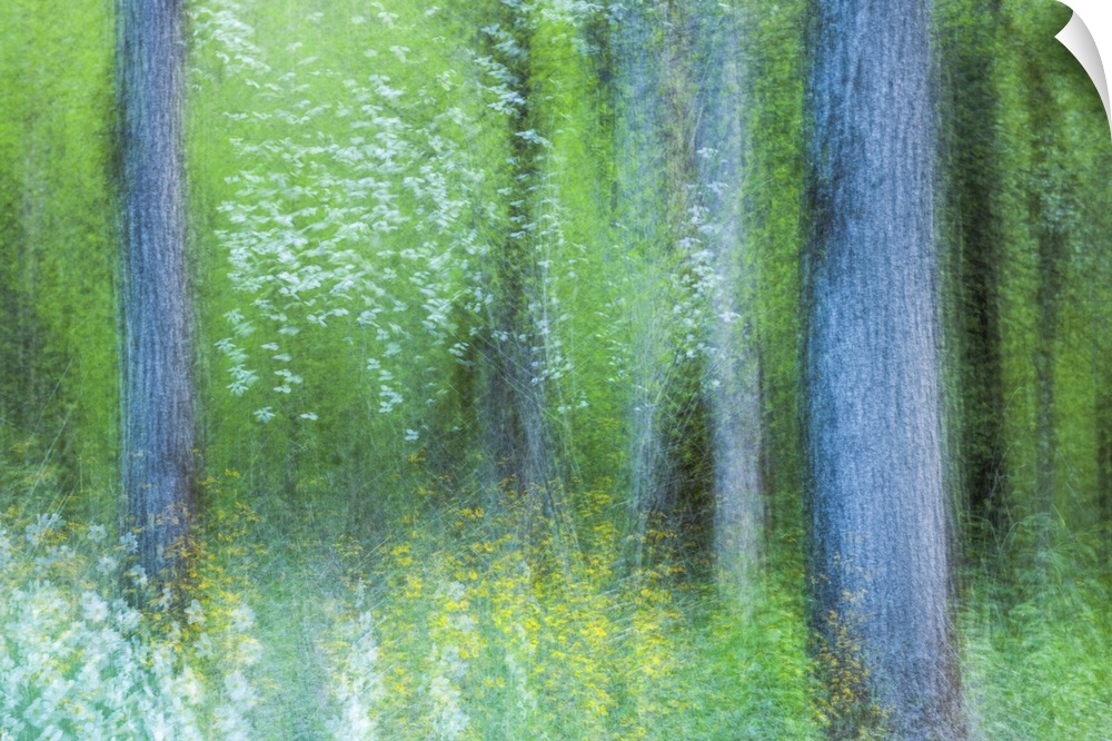 Blurred motion image of a green forest in the Great Smoky Mountains in the springtime, creating an abstract image.