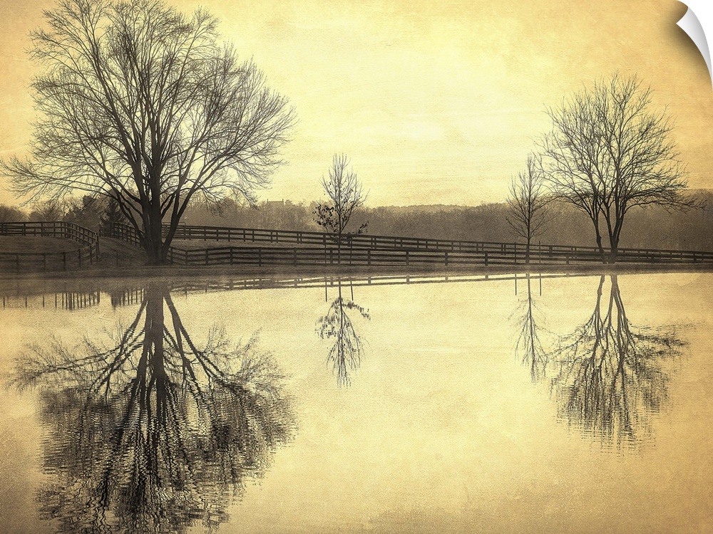 Trees at the edge of a pond reflected in the water with golden light, Oregon Ridge, Maryland.