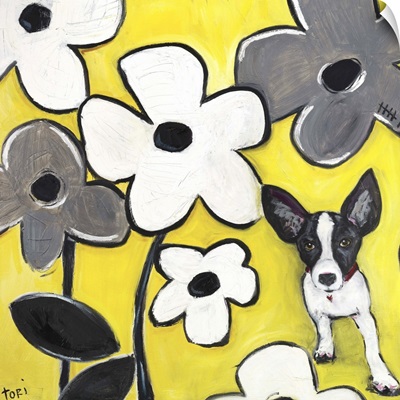 Flowerdog Yellow