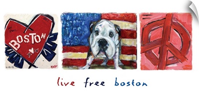 Live Free Boston Panorama