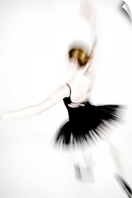 A ballet dancer V