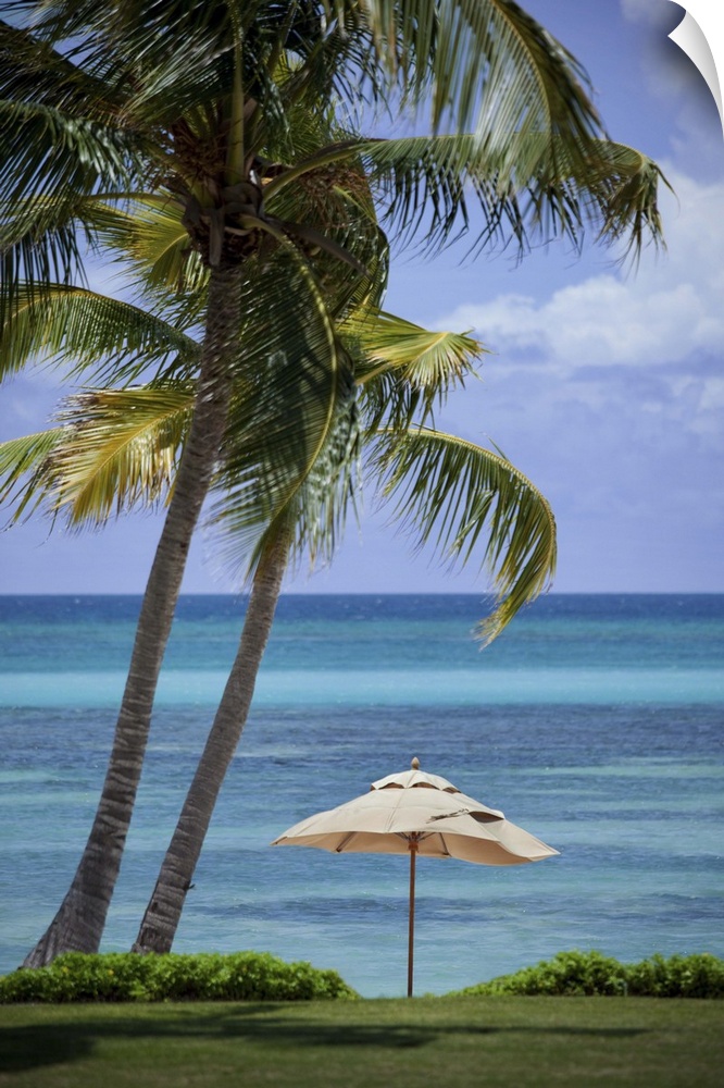 A lone umbrella provides refuge from the Caribbean sun along the blue waters of a palm-lined beach in the Dominican Republic.
