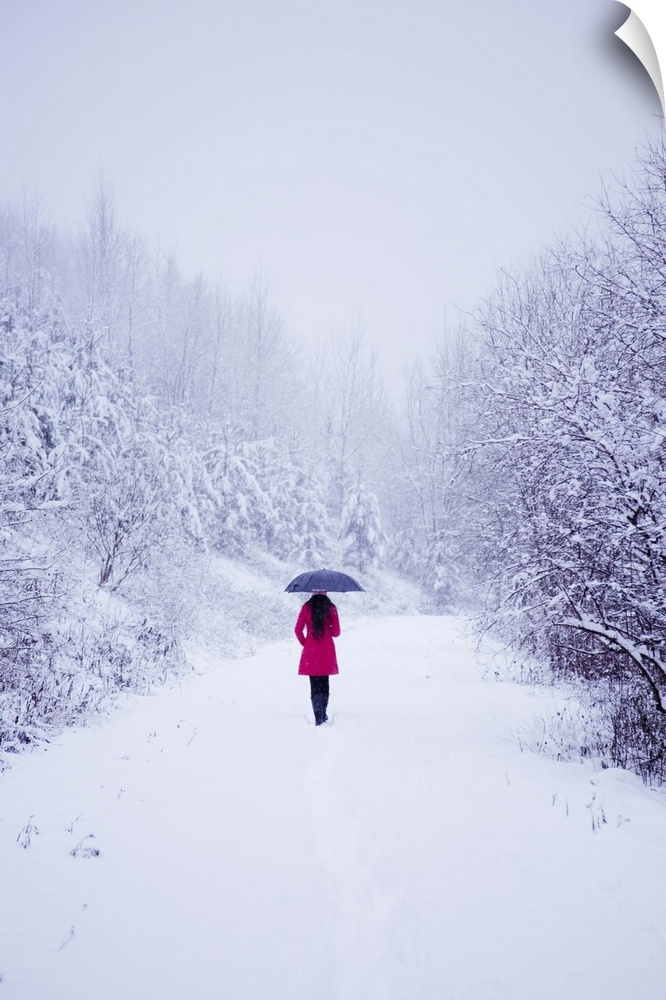 Female adult youth with long black hair wearing red coat holding umbrella walking in the snow in countryside.