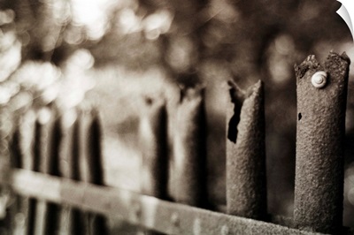 An old rusty fence