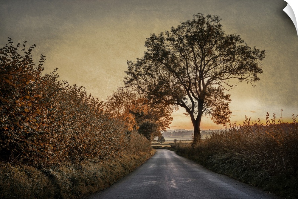 A peaceful rural scene in England at dawn with hedgerows and trees in autumn.