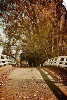 Autumnal Bridge