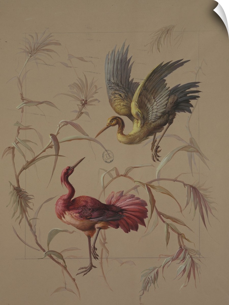 Two birds surrounded by branches with leaves. Red bird stands on ground with one leg lifted facing top right, blue and gre...