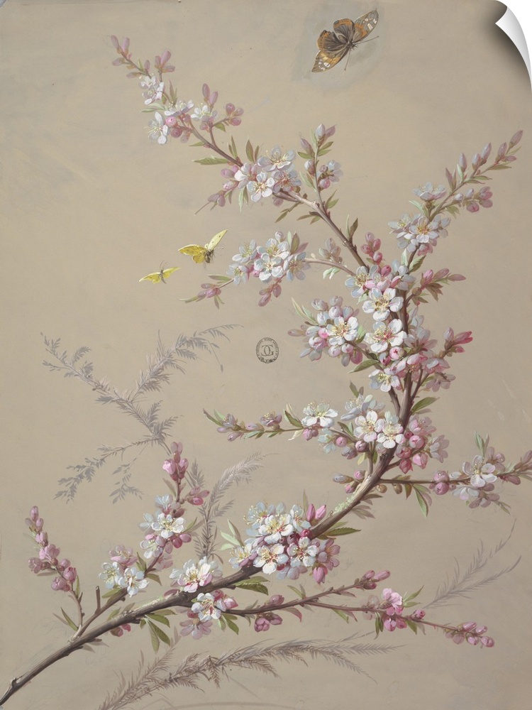 Branch with white blossoms and foliage in a reverse "c" shape, with grasses behind it. Two yellow butterflies fly to the l...