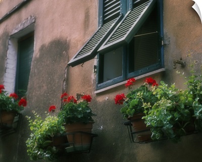 Flowers decorate the wall beneath an open window in Italy