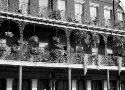 French Balconies, New Orleans, Louisiana