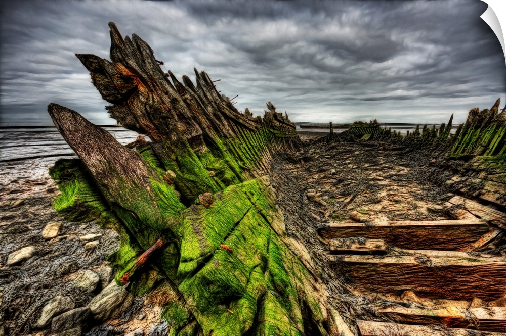 Green algea build up and rotting wood and nails on an old abandoned boat wreck beached in mud on the river swale