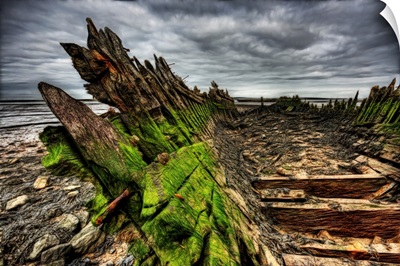 Green algaa build up and rotting wood