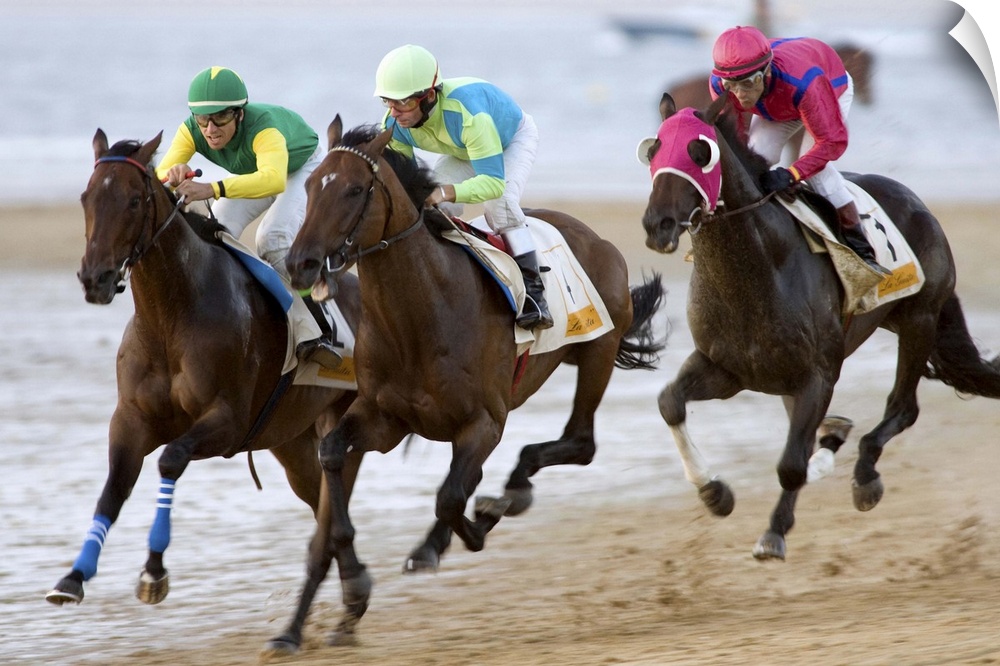 Thoroughbred horses compete at sea shore with green horizon of ?Doana National Park? and the whole seafront in Sanlucar de...