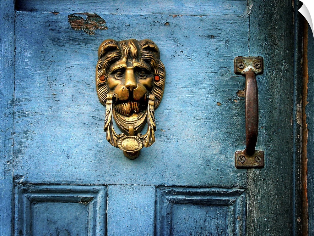 A brass door knocker on a blue door in the shape of a lions head