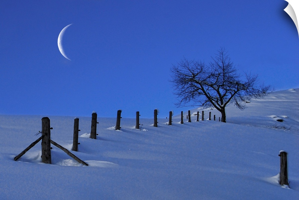 Moon Rising over a Snowy Landscape with a Single Tree and a Fence, Austria, Europe