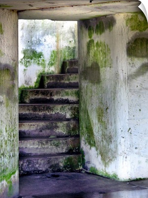 Mossy stairway