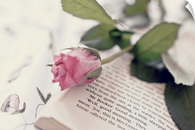 Rose Book