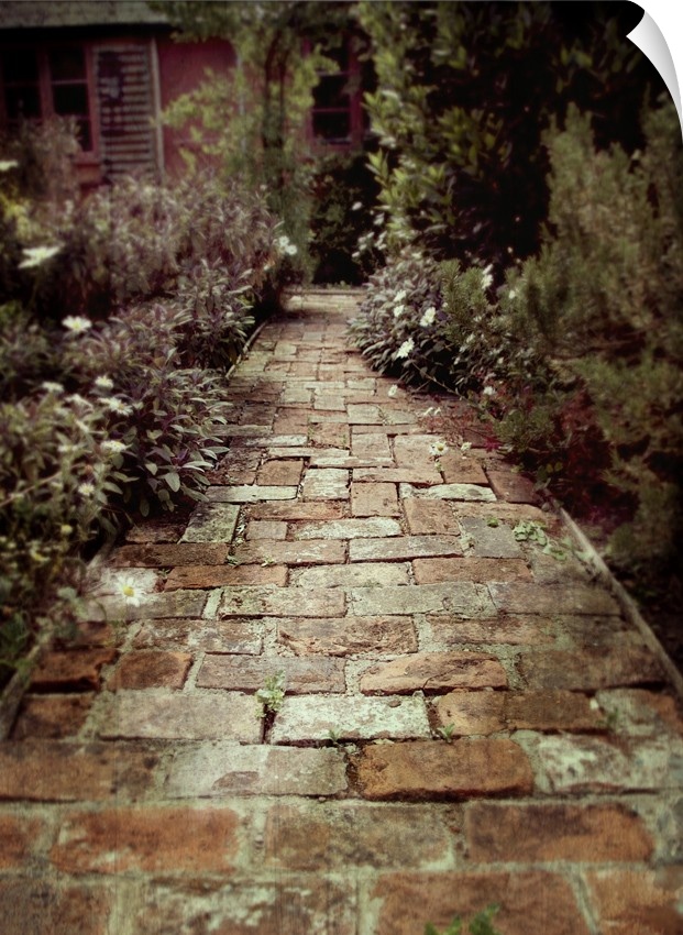 small path made of old bricks in a cottage herb garden