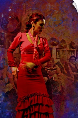 The Flamenco Dancer