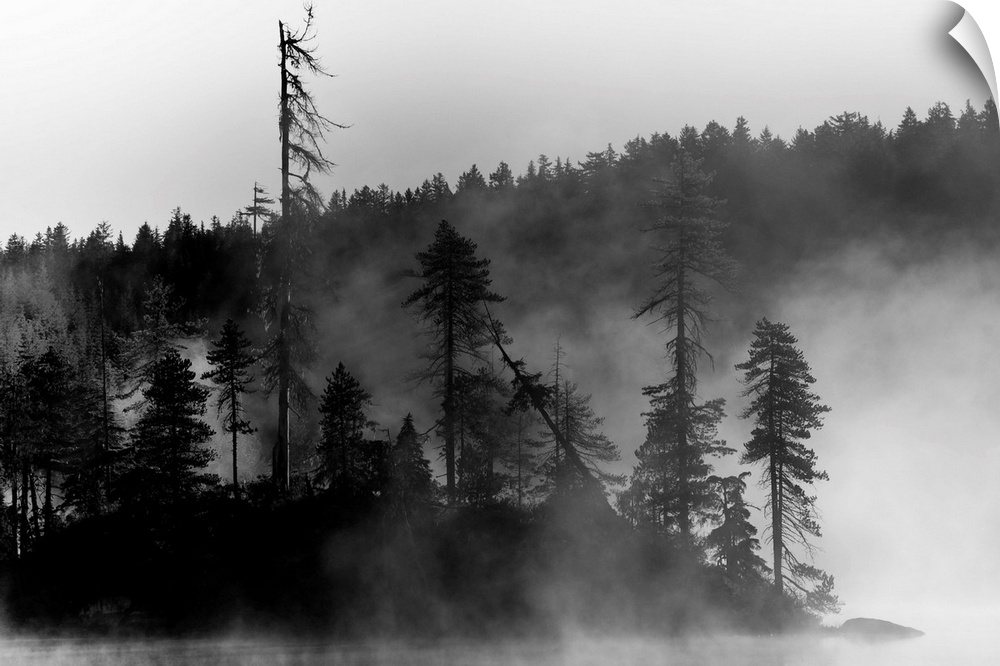 A small island of trees on a lake covered in mist.
