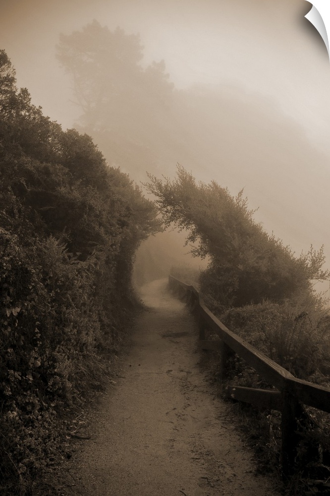 A path follows a course in the Big Sur coastal region, in a fog