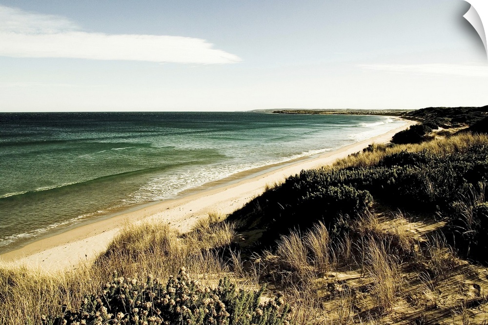 Beach view looking toward Torquay in Australia