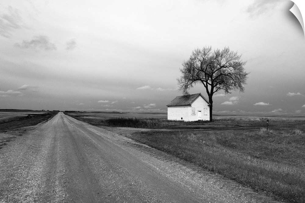 Remote rural scene with white painted barn with tree on roadside in Rolette County in USA