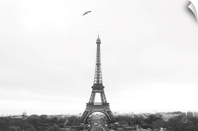 A Birds View of Paris Crop I