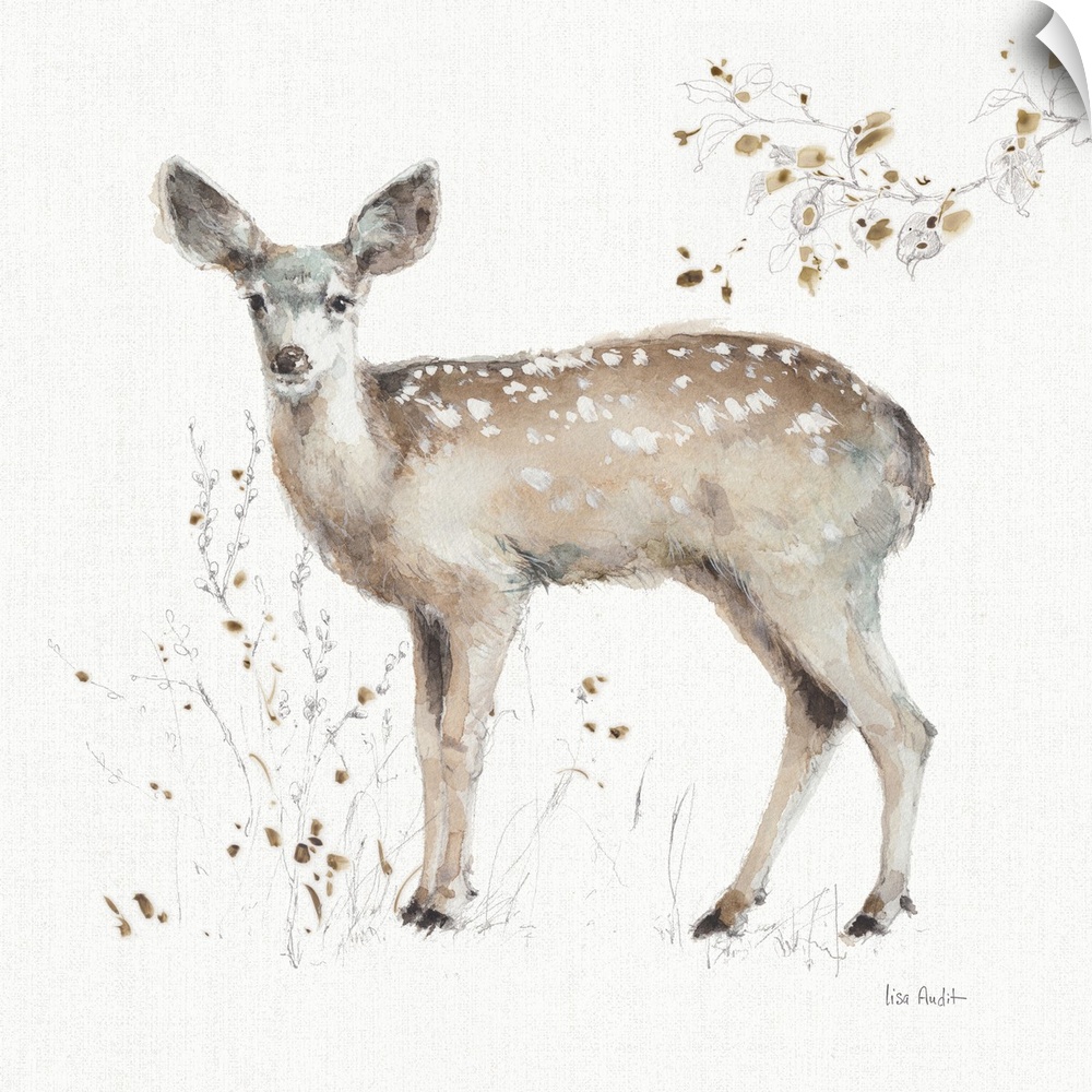 Decorative artwork of a watercolor deer perched on a branch against a white background.