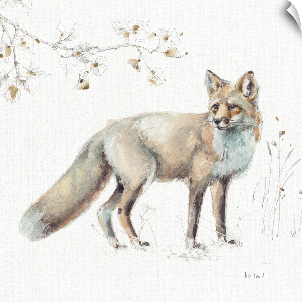 Decorative artwork of a watercolor fox perched on a branch against a white background.