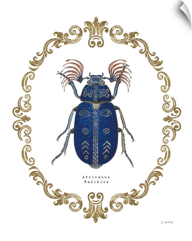 Decorative artwork of beetle a surrounded by a baroque gold frame with the words, 'Africanus Rafikius'.