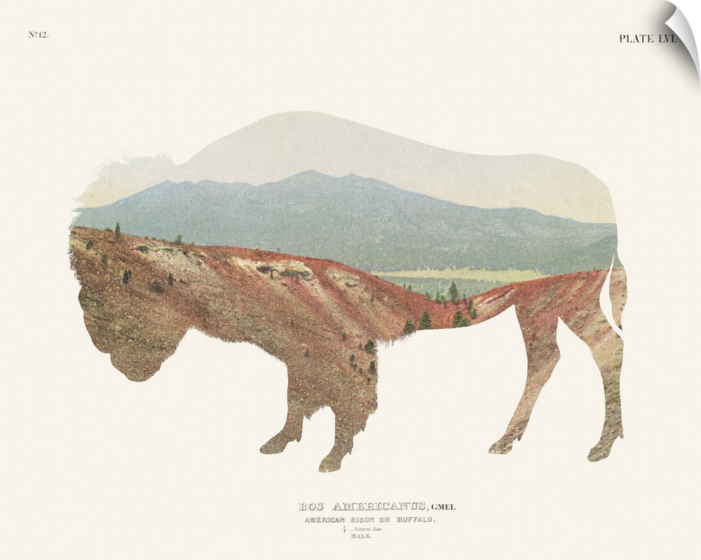 Decorative artwork featuring a double exposure of a buffalo and a southwest landscape that is adorned with 'No.12, Plate L...