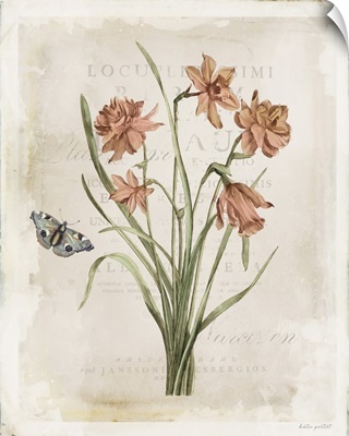 Antiquarian Blooms V