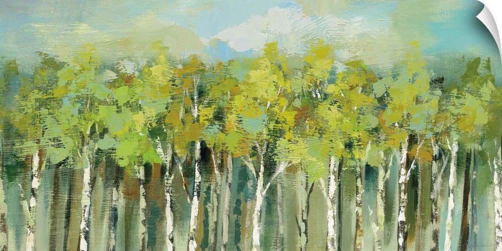 Large abstract painting of woods full of birch trees with tree tops in various shades of green and a blue sky.