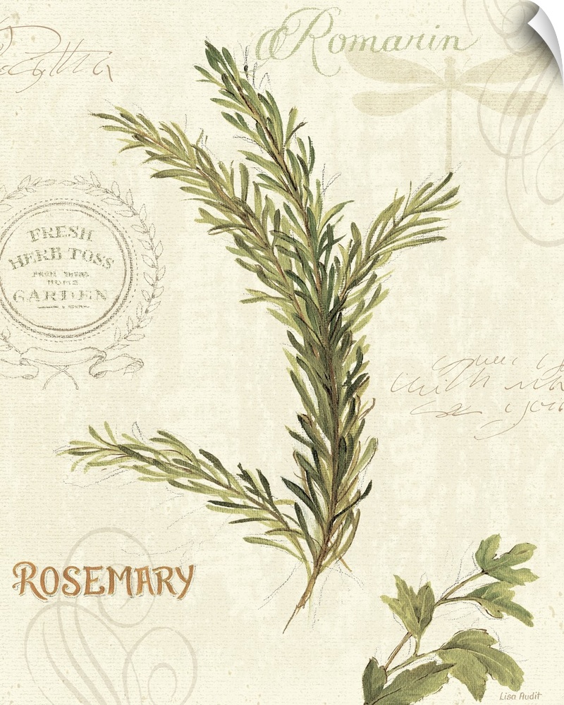 Mixed media illustration of rosemary herbs with text in the background.