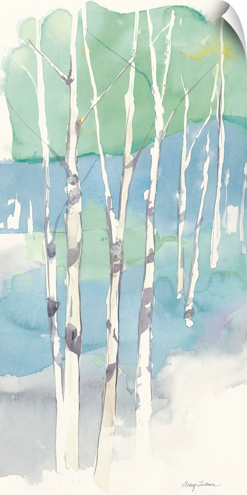 Watercolor painting of thin aspen trees.